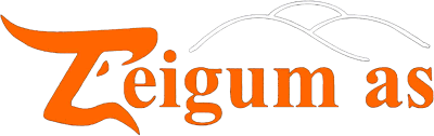 Logo - Teigum AS