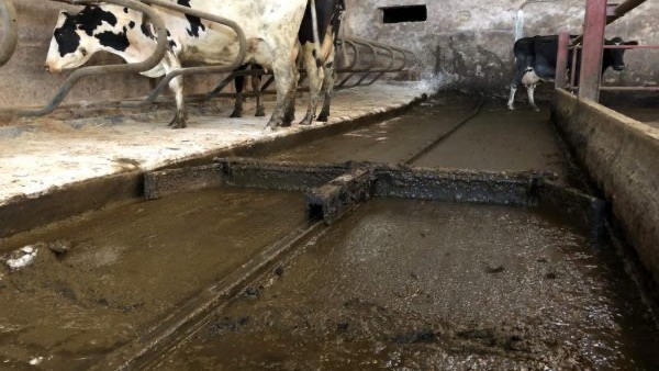 Rød traktor med slåmaskin står på en eng med nyslått gress en solrik dag.